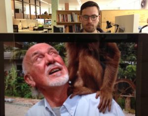 office-workers-morphed-animals