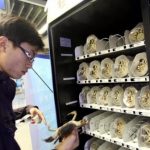 Expendedora de Cangrejos02