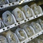 Expendedora de Cangrejos03