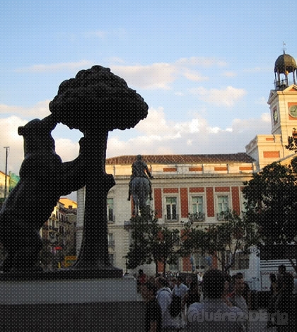 De gatos y chihuahuas