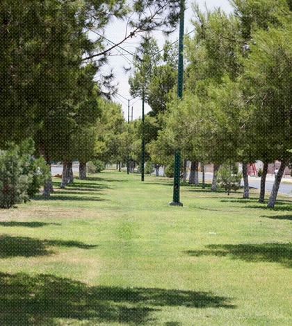 Dirección de Ecología ingresará bicicletas a vigilancia de parques