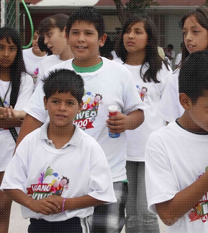 Campamentos de verano 