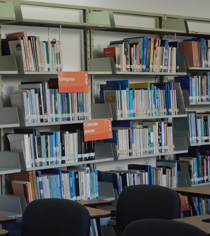 mis vacaciones en la biblioteca