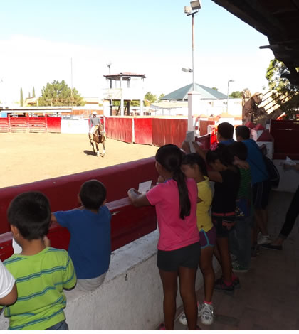 Aprenden y se Divierten Infantes en Campamento