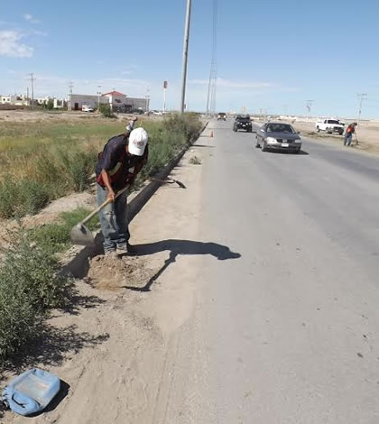 Inician Limpieza de Avenidas en la Ciudad