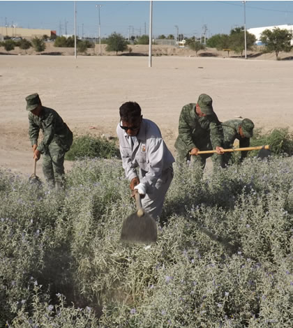 Municipio y Ejército Mexicano Atienden los Parques de la Ciudad