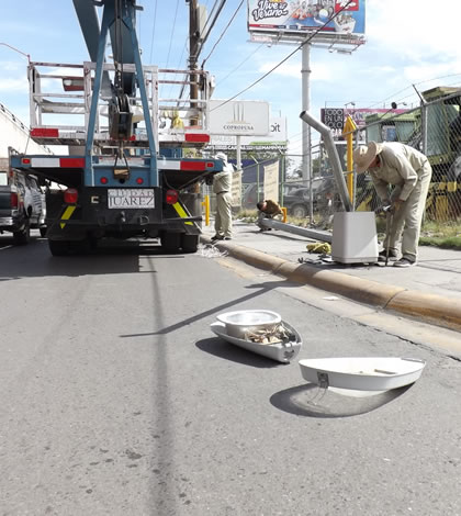 Revisan Alumbrado en Avenidas Para Evitar Fallas