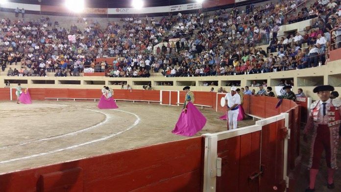 Zotoluco y Armillita