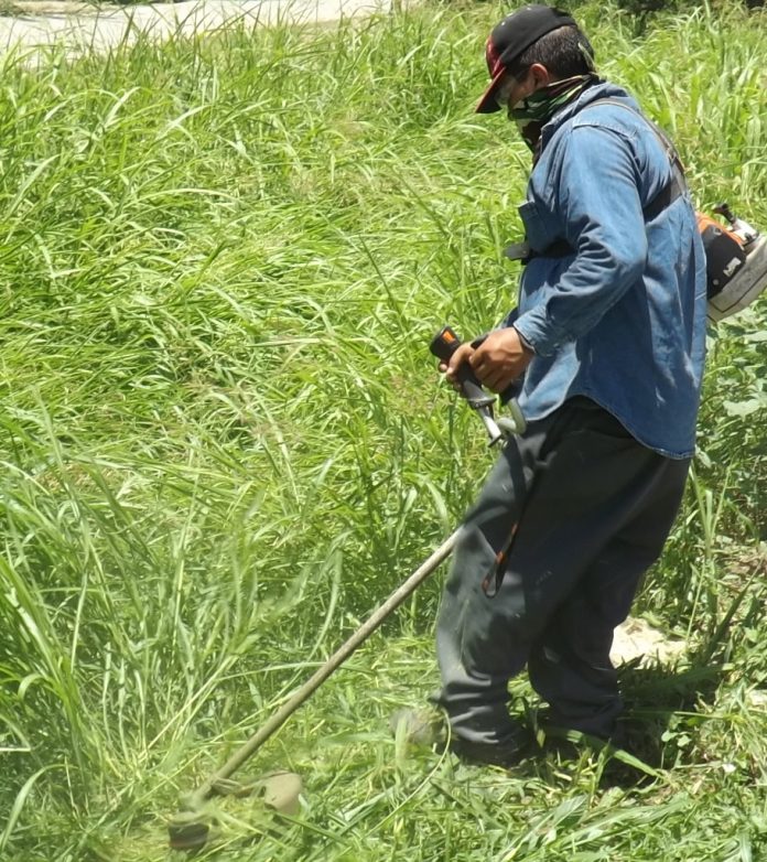 Acciones de Limpieza Para Prevenir Virus Chikungunya