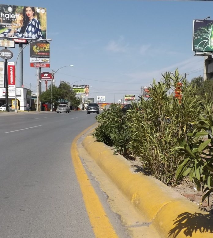 Reforestan Corredor Manuel Gómez Morín