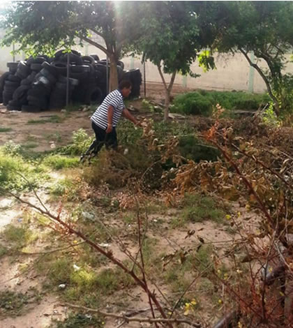 Intensifican Retiro de Hierba en el Suroriente