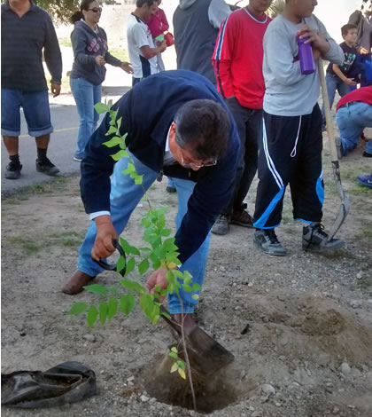Plantan Más de 600 Arboles en Campaña ¨Un Nuevo Bosque 2015¨