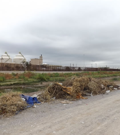 Retiran Toneladas de Hierba y Basura del Rio Bravo