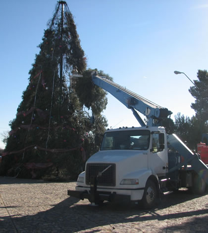 Inicia Colocación del Pino Navideño en Plaza de la Mexicanidad