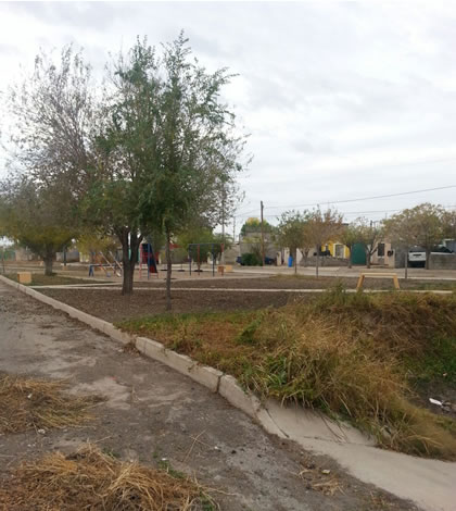 Limpian y Habilitan Parques en Sur Oriente