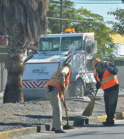 Rehabilitan Camellones en Avenidas Principales