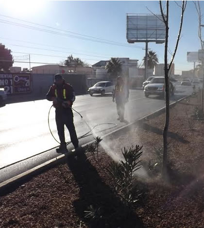 Continúa Mantenimiento de Rutas Papales
