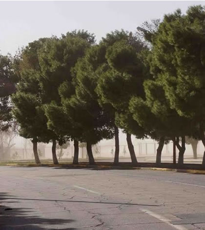 Continuarán Ligeros Vientos Durante Este Martes