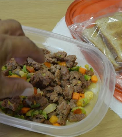 Recomendaciones Para Visita Papal