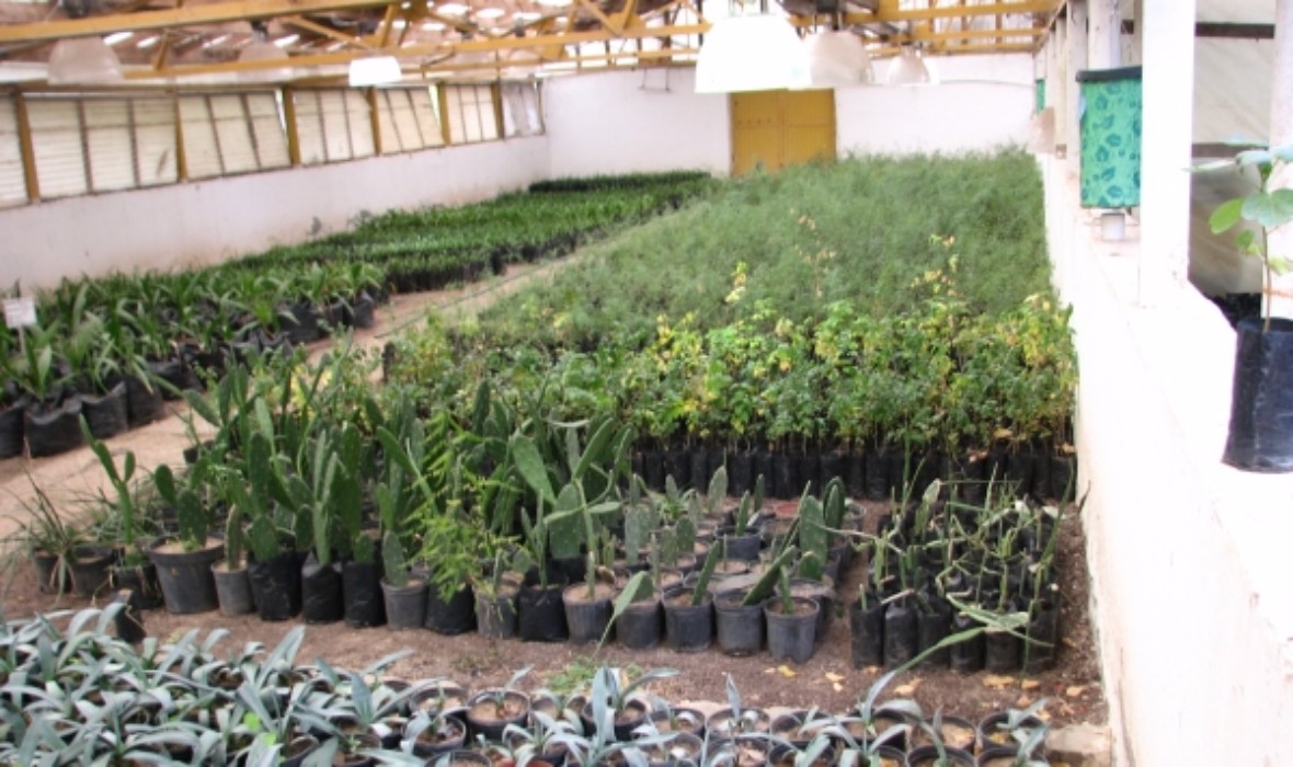 600x356 58d1d4366b802 58d1d4366b808 1