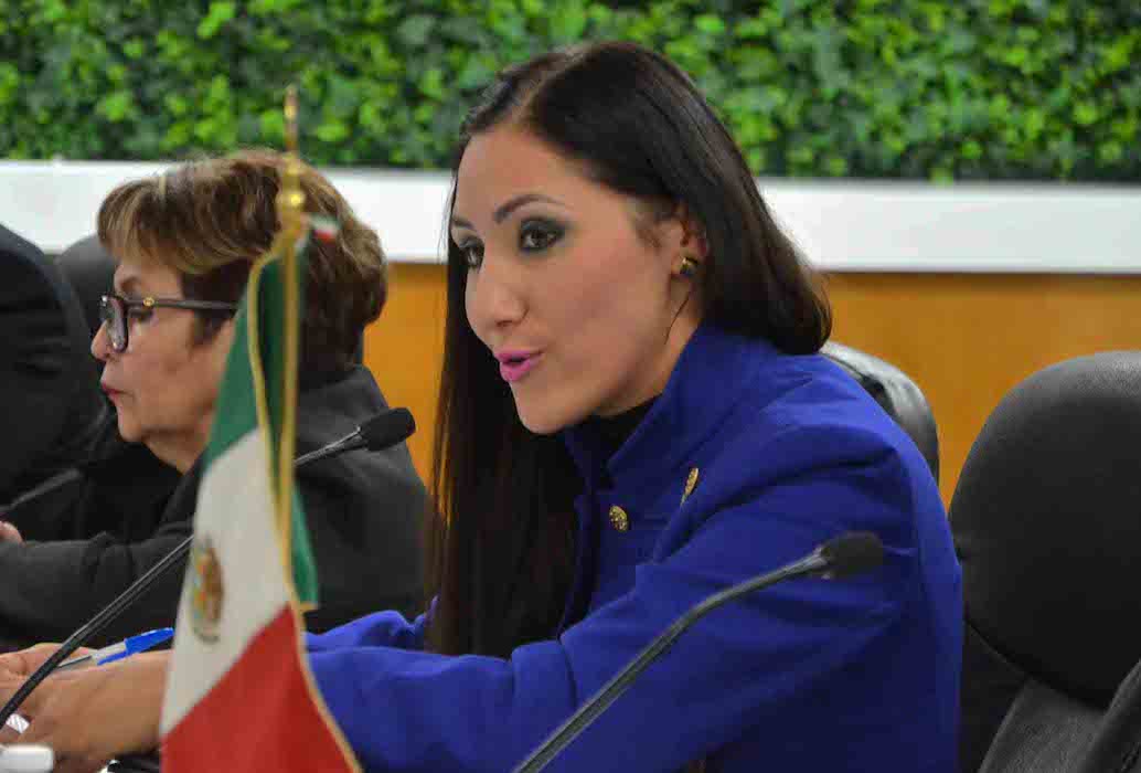 Laura Yaneli Rodriguez Mireles