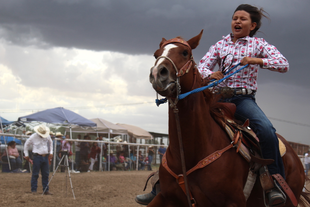 Barrileada Barrel Horse