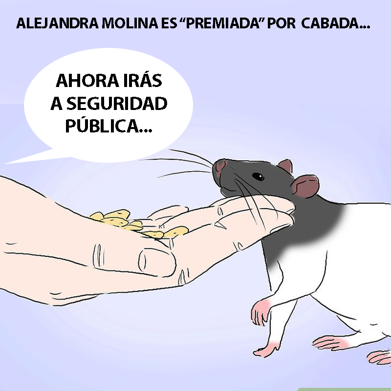 Burroman - Premiada 2 Burroman 20170802