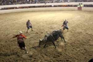 Realizan Primera Fecha Profesional de Rodeo Americano 2 Rodeo 2