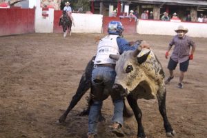 Realizan Primera Fecha Profesional de Rodeo Americano 3 Rodeo 3