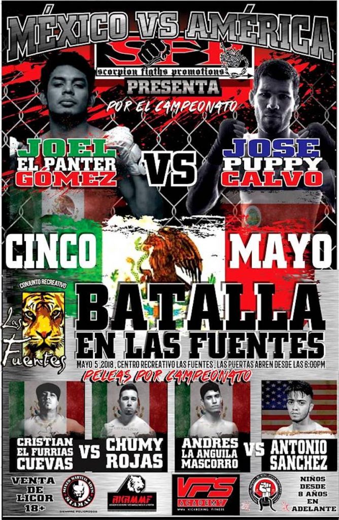 Disputarán tres campeonatos profesionales de MMA 2 batalla en las fuentes mma 2