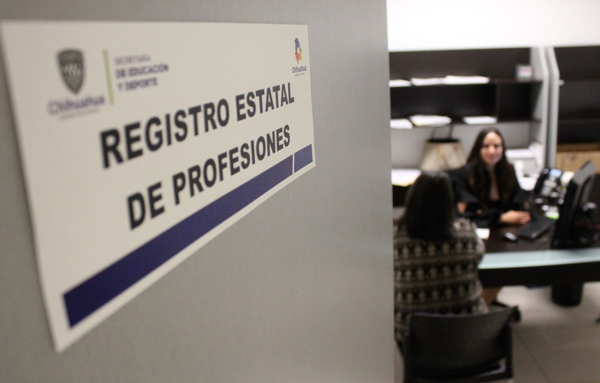 Registro Estatal de Profesiones 2