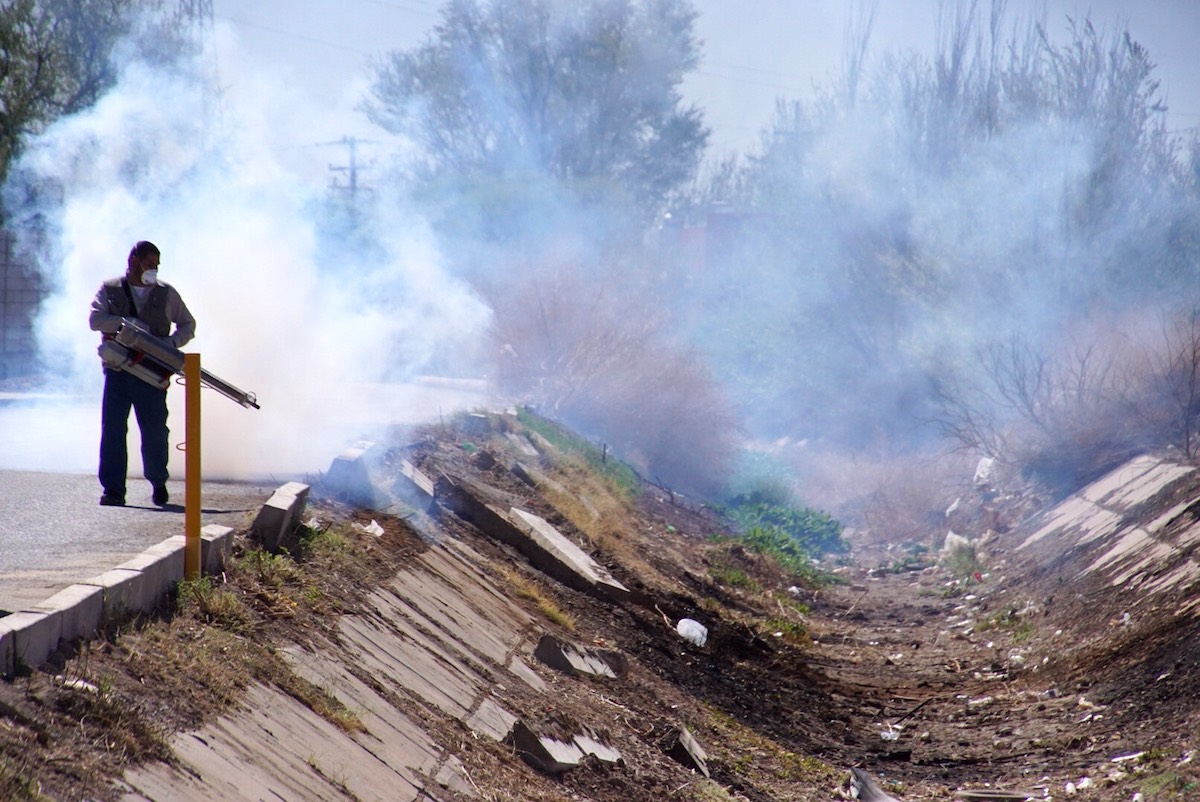 Importante evitar presencia de mosquitos en los hogares 1 riesgo por mosquitos