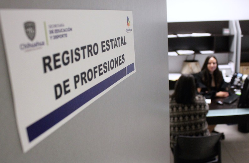 registro estatal de profesiones