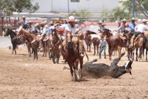 Campeonato Estatal de Charrería 2019 3 6