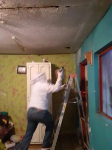 Retira Dirección de Ecología enjambre de 3 mil abejas de vivienda 1 Abejas vivienda 1