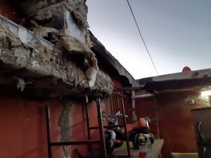 Retira Dirección de Ecología enjambre de 3 mil abejas de vivienda 2 Abejas vivienda 2