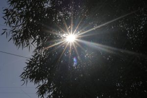 Recomendaciones por calor 1