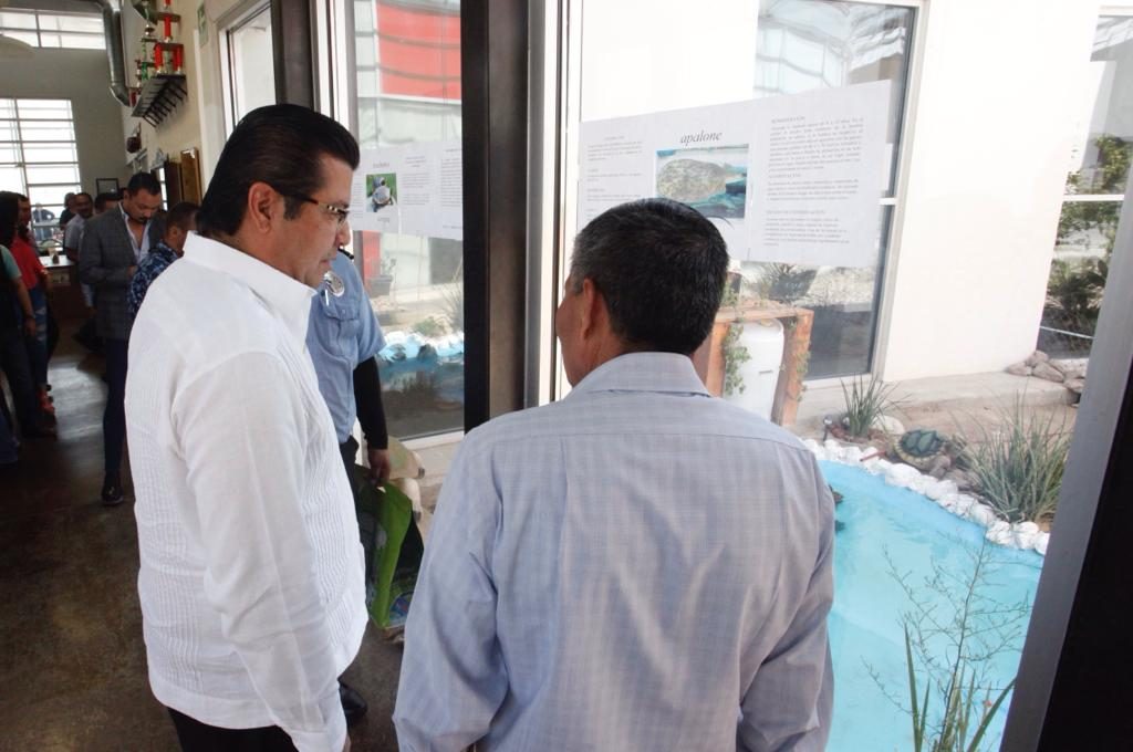 Convocan para nombrar y diseñar logotipo de tortugario 3 Tortugas4