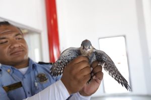 Cuenta Municipio con Tortugario 2 tortugario 10