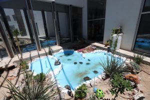 Cuenta Municipio con Tortugario 3 tortugario 5