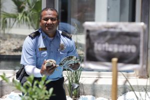 Cuenta Municipio con Tortugario 1 tortugario 9