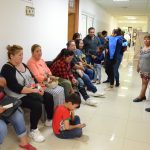 Programa Vamos Viendo 4