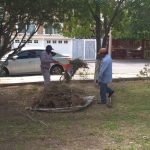 limpia parques monumental 3