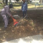 limpia parques monumental 5