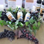 Reúne primer foro a vitivinicultores de todo el estado 3 DSC 0584