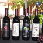 Reúne primer foro a vitivinicultores de todo el estado 8 DSC 0635