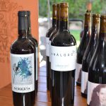 Reúne primer foro a vitivinicultores de todo el estado 9 DSC 0638