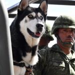 Democracia, justicia y federalismo son valores esenciales de la Independencia: Javier Corral 9 DESFILE INDEPENDENCIA 2019 CUU GOBERNADOR 17