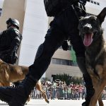 Democracia, justicia y federalismo son valores esenciales de la Independencia: Javier Corral 29 DESFILE INDEPENDENCIA 2019 CUU GOBERNADOR 53