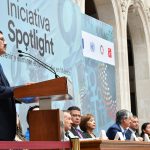 Spotligth Chihuahua 12 1